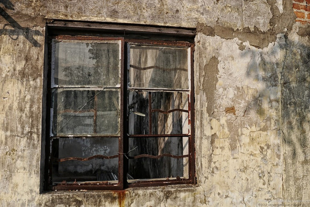 Vào thập niên 1940, hòn đảo có khoảng 500-1.200 người sinh sống. Lâu dần, nhiều gia đình cũng rời đi để tiếp cận với điều kiện học hành tốt hơn. Những người dân cuối cùng rời khỏi Diêm Điền Tử vào thập niên 1990. Từ đó, hòn đảo này trở thành nơi không bóng người. Những ngôi nhà cũ kỹ thấp thoáng dưới tán cây rậm rạp tạo nên khung cảnh rợn tóc gáy. Ảnh: Culture Trip.