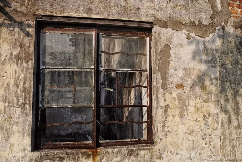 Vào thập niên 1940, hòn đảo có khoảng 500-1.200 người sinh sống. Lâu dần, nhiều gia đình cũng rời đi để tiếp cận với điều kiện học hành tốt hơn. Những người dân cuối cùng rời khỏi Diêm Điền Tử vào thập niên 1990. Từ đó, hòn đảo này trở thành nơi không bóng người. Những ngôi nhà cũ kỹ thấp thoáng dưới tán cây rậm rạp tạo nên khung cảnh rợn tóc gáy. Ảnh: Culture Trip.