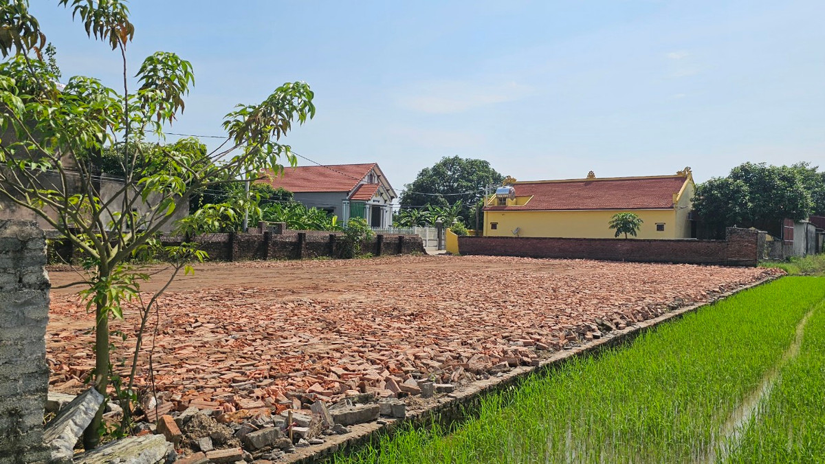 Hai Duong: Hon 800m2 dat trong lua bi san lap, chinh quyen quyet liet xu ly