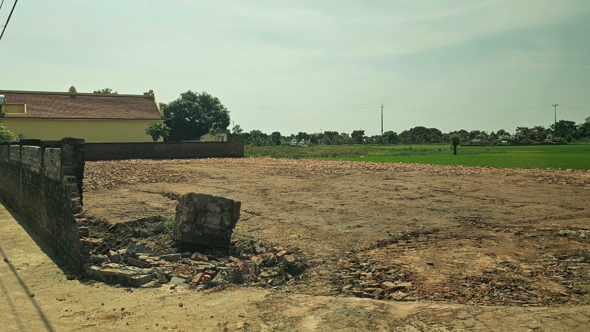 Hai Duong: Hon 800m2 dat trong lua bi san lap, chinh quyen quyet liet xu ly-Hinh-2