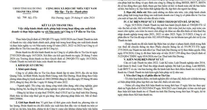 Cong ty CP dau tu Tia Gia khai sai, thieu thue hon tram trieu