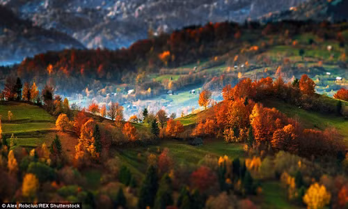 Những cây màu sắt rỉ hiện ra trong sương mù, bên dưới là thảm cỏ xanh và những ngọn đồi tạo nên cảnh quan ngoạn mục cho vùng Transylvania.