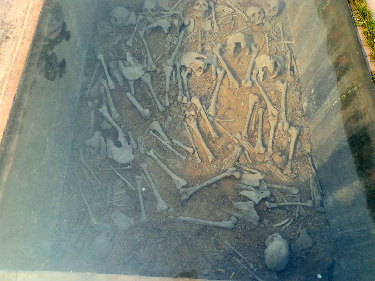 Theo đó, một ngôi mộ có chứa 74 bộ hài cốt bị chặt đầu. Ngôi mộ khác chứa 37 con ngựa. Những ngôi mộ khác chứa khỉ, chó, bò và một số loài chim. Các chuyên gia suy đoán những nạn nhân của nghi lễ hiến tế này bị chôn sống.