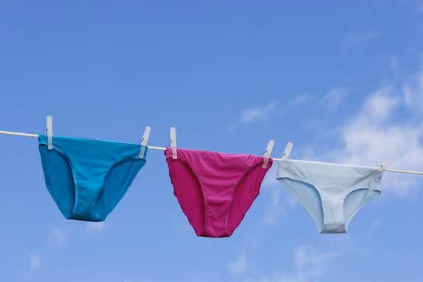 Thái Lan là một trong những quốc gia có những lệnh cấm khá kỳ lạ trong đó có việc ra khỏi nhà mà không mặc đồ lót là phạm luật.