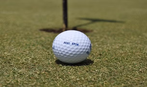 Tổng thống thứ 34 của Hợp chủng quốc Hoa Kỳ Dwight D. Eisenhower dành hơn 1.000 ngày cho golf trong hai nhiệm kỳ tổng thống. Tổng thống Eisenhower chơi golf trên sân gạt bóng gần phòng Bầu Dục của Nhà Trắng - nơi mà Hiệp hội Golf Mỹ đã thiết kế cho ông từ tiền quyên góp của các cá nhân.