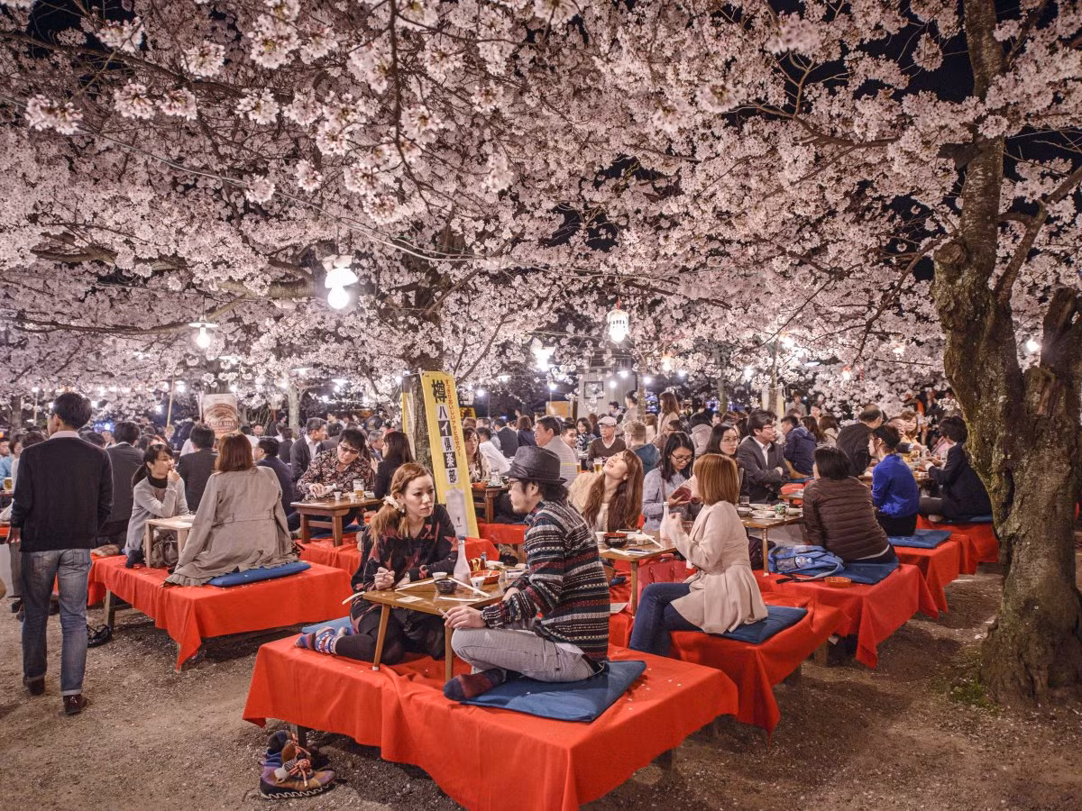 Lễ hội mùa xuân Hanami ở công viên Maruyama vô cùng hấp dẫn, thu hút sự chú ý của nhiều người.