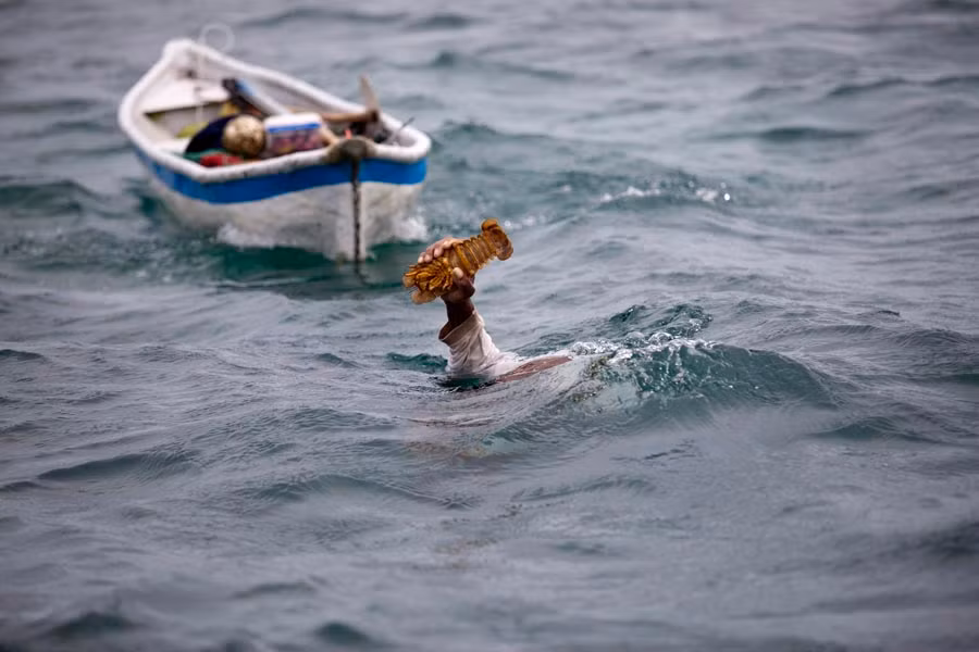 Những ngư dân lặn sâu xuống dưới biển khoảng 10 - 20m để thực hiện hoạt động đánh bắt.