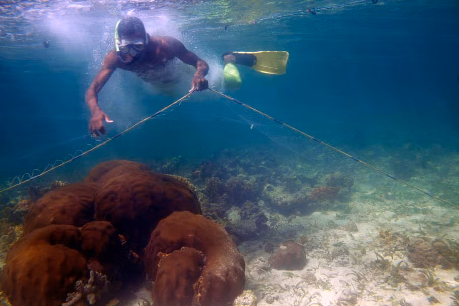 Một số người dân làm công việc đánh cá bằng lưới hay lặn biển để bắt hải sản. Họ thường ra khơi đánh bắt cá bằng những chiếc thuyền máy nhỏ.