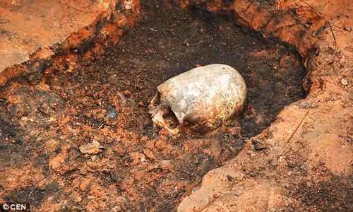 Phat hien bo hai cot ky la 2.000 tuoi o Nga