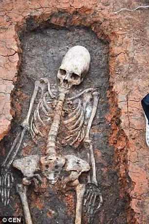 Phat hien bo hai cot ky la 2.000 tuoi o Nga-Hinh-2