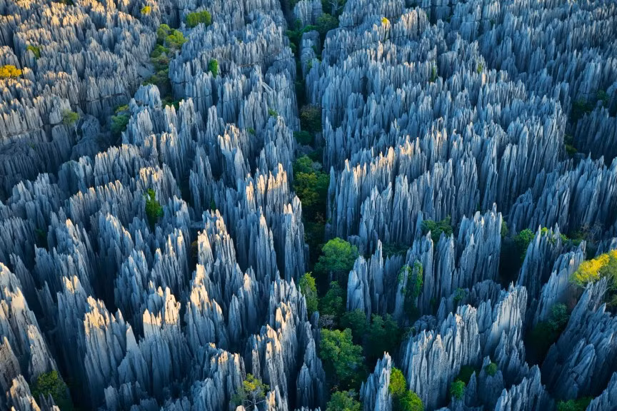 Khu rừng của những con dao ở Madagascar là một trong những nơi sở hữu cảnh đẹp siêu thực. Rừng đá này cao chót vót và được tạo thành từ đá vôi. Du khách chỉ có thể quan sát chúng từ xa vì có thể gặp nguy hiểm nếu như đến gần.