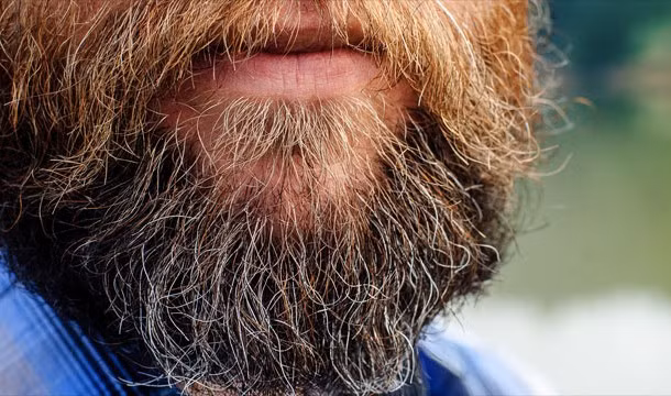 Năm 1567, Hans Steininger (người Áo) đã qua đời vì vấp ngã bởi bộ râu quá dài của chính mình.