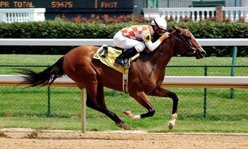 Năm 1923, Frank Hayes trở thành người đầu tiên chết mà vẫn giành chiến thắng trong cuộc đua ngựa. Frank Hayes đã phải chịu một cơn đau tim khi tham gia cuộc đua trên và chết trước khi cán đích.