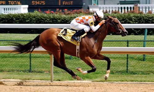 Năm 1923, Frank Hayes trở thành người đầu tiên chết mà vẫn giành chiến thắng trong cuộc đua ngựa. Frank Hayes đã phải chịu một cơn đau tim khi tham gia cuộc đua trên và chết trước khi cán đích.