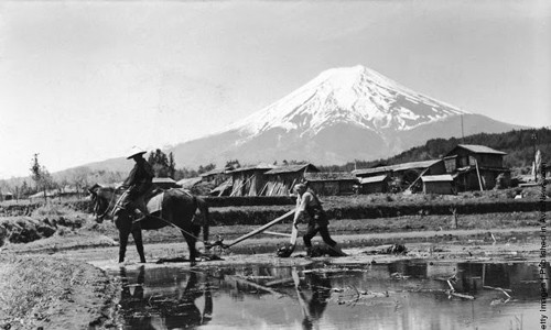 Người nông dân làm ruộng cần mẫn ở chân dãy núi Fujiyama, Nhật Bản. Ảnh chụp vào năm 1950. Hình ảnh đất nước Nhật Bản yên bình những năm 1950 - 1960 yên bình đã trở thành chủ đề hấp dẫn của nhiều nhiếp ảnh gia trong quá trình xứ sở hoa anh đào tái thiết đất nước sau Chiến tranh thế giới 2.