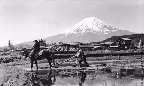 Người nông dân làm ruộng cần mẫn ở chân dãy núi Fujiyama, Nhật Bản. Ảnh chụp vào năm 1950. Hình ảnh đất nước Nhật Bản yên bình những năm 1950 - 1960 yên bình đã trở thành chủ đề hấp dẫn của nhiều nhiếp ảnh gia trong quá trình xứ sở hoa anh đào tái thiết đất nước sau Chiến tranh thế giới 2.