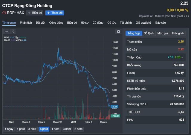 Nhua Rang Dong: Chu tich bi ban giai chap, Tong giam doc tu chuc-Hinh-3