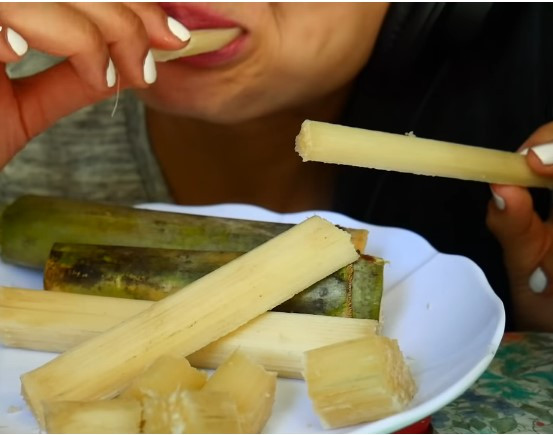 Thế nhưng, ăn mía vào tháng 4 và tháng 5 thì không nên, vì sao lại như vậy? Dân gian có câu: “Cây mía vào tiết Thanh minh còn độc hơn rắn!” Nghe rất đáng sợ, vậy mía trước và sau Thanh minh có thực sự đáng sợ như vậy không?