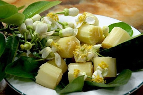 Điểm đáng sợ nhất là hiện các nhà khoa học vẫn chưa tìm được giải phát hữu hiệu để chữa trị, có nghĩa là không có thuốc điều trị đặc hiệu cho loại độc tố này.