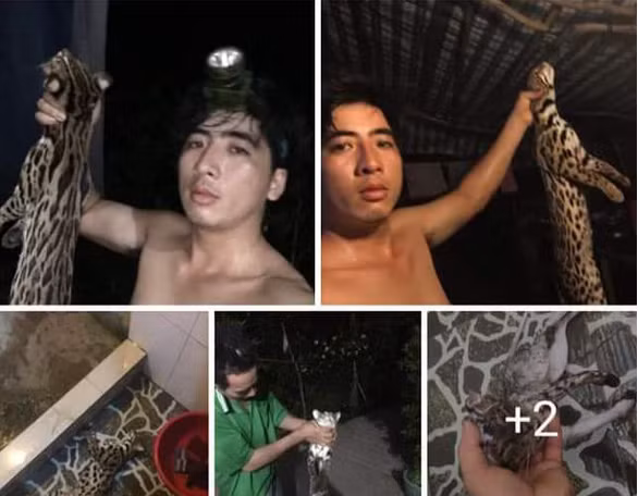 Giet dong vat quy hiem roi khoe tren facebook va cai ket