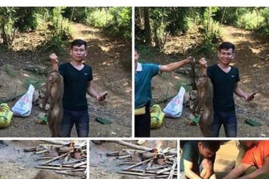 Nam thanh niên giết khỉ rừng dã man rồi đăng Facebook khoe chiến tích: Tháng 11/2018, trên mạng xã hội có đăng tải đoạn clip ghi lại cảnh một nam thanh niên tỏ ra phấn khích khi bắt được một con khỉ. Người này đã cùng một số người khác làm thịt chú khỉ này. Hình ảnh trên được lan truyền đã gây phẫn nộ trong cộng đồng mạng.