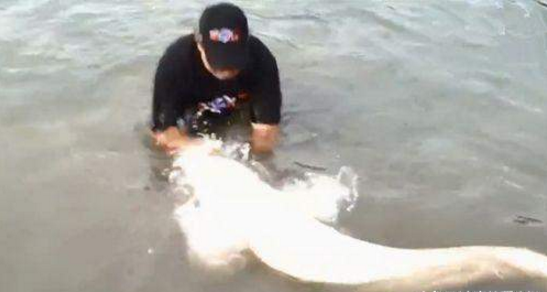 Bat duoc ca thanh tinh 