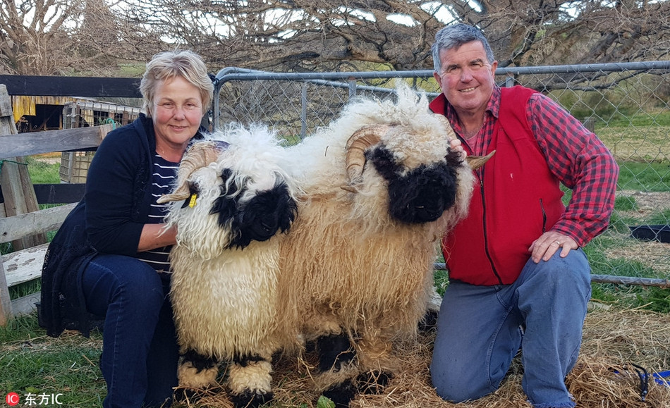 Tin gay sot ve loai cuu dang yeu nhat TG, duoc xem 