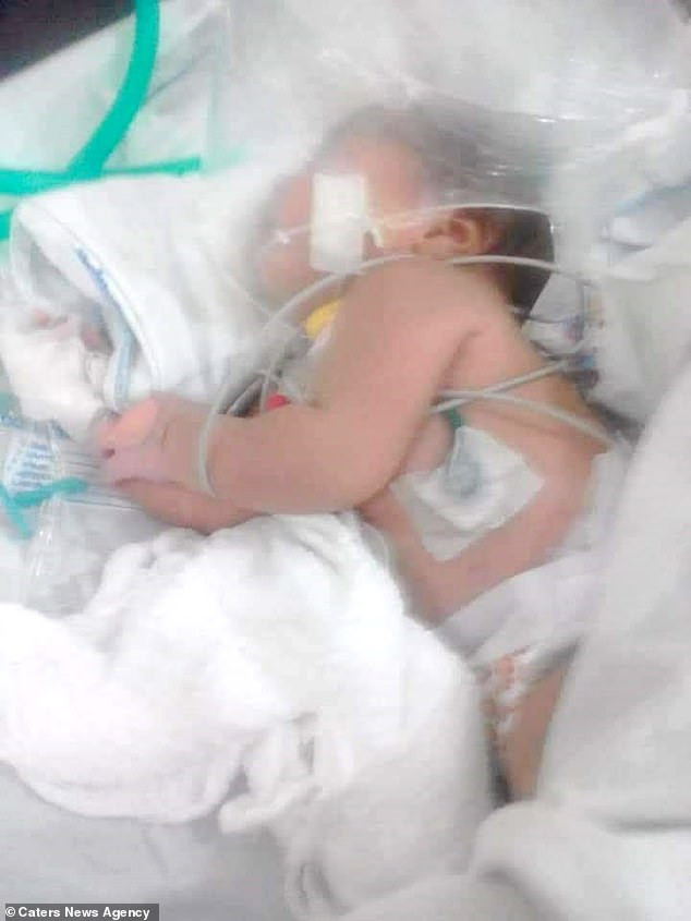 Bo cap vang cuc doc lien tuc can be so sinh, dieu ky dieu...-Hinh-2