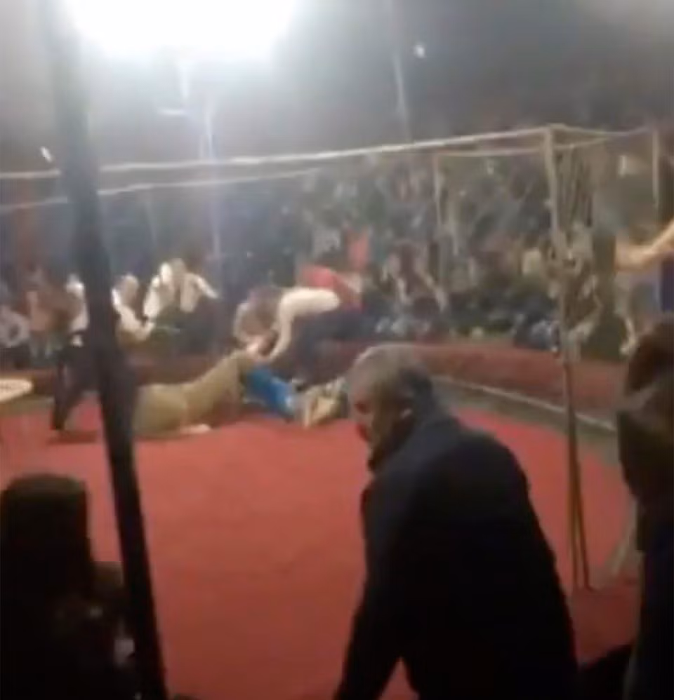 Su tu loi be gai xenh xech, dam dong dien cuong thao chay-Hinh-2