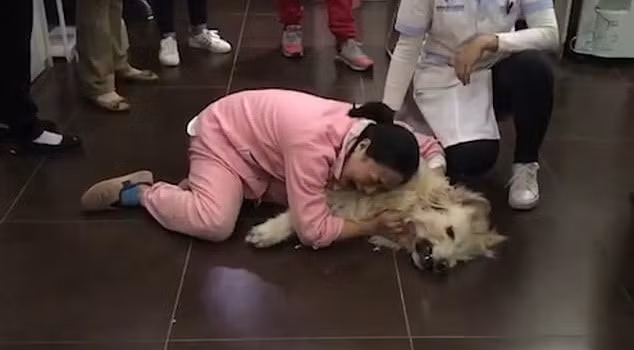 Co gai khoc loc tham thiet vi boss bi hang xom danh ba chet