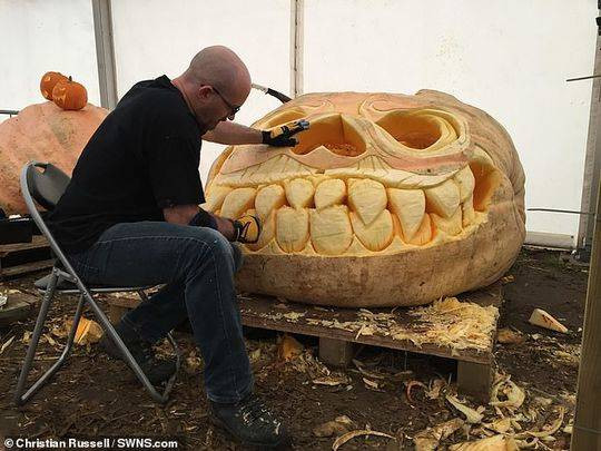 Ian và Stuart Paton nói rằng, họ sẽ có một vài cải tiến trong kỹ thuật trồng trọt vào năm tới và chắc chắn sẽ phá vỡ kỷ lục thế giới sau năm 2019.