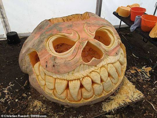 Trong vòng 40 năm qua, hai anh em Ian và Stuart Paton đã trồng thành công 5 quả bí ngô nặng khoảng 1000kg. Những quả bí ngô khổng lồ này có chu vi vài mét và độ dày thịt không thua kém gì cánh tay của các võ sĩ hạng nặng.