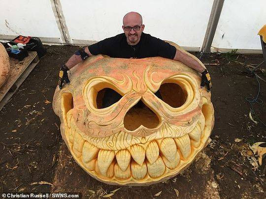 Được biết, trái bí ngô lớn nhất thế giới nặng 2624 pounds (khoảng 1190kg), được trồng vào năm 2016 bởi một người Bỉ có tên Mathias Willemijns.