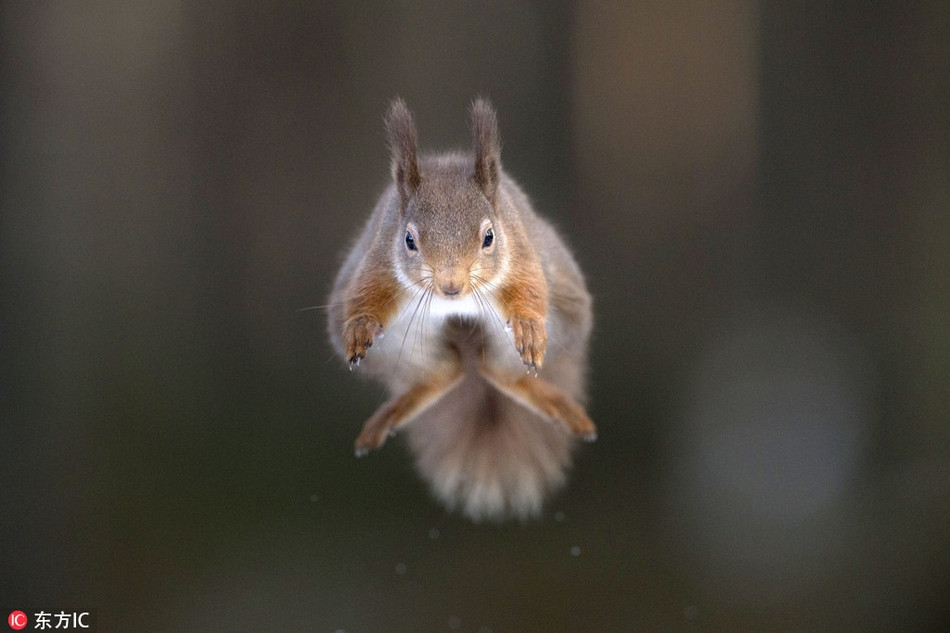 Thich thu khoanh khac soc nho tro thanh 