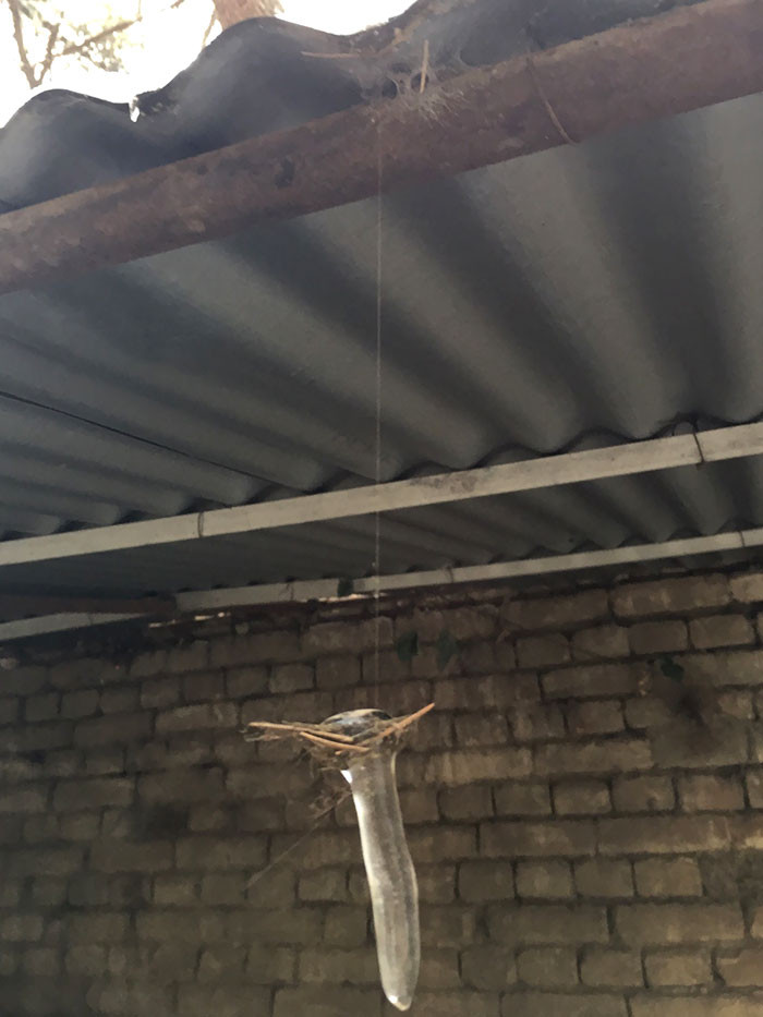 Nhiều người tỏ ra ngạc nhiên khi chỉ với duy nhất một sợi tơ nhện thế nhưng có thể giữ được cả một khối băng nặng nề. Tuy nhiên, ít người biết rằng, tơ nhện còn được ứng dụng vào sản xuất áo chống đạn.