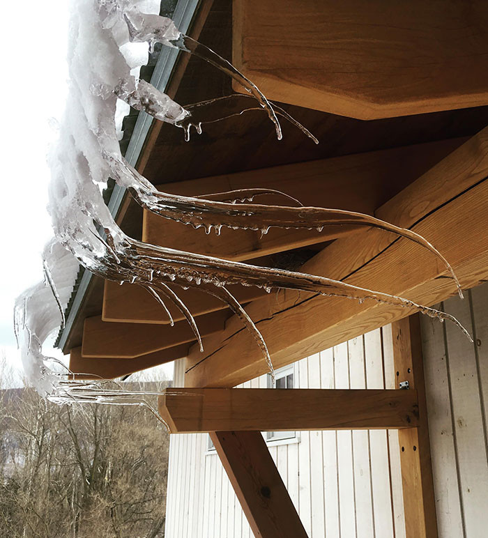 Không chịu rơi xuống mặt đất, những giọt nước này nương theo làn gió và đóng băng một cách đầy mềm mại.