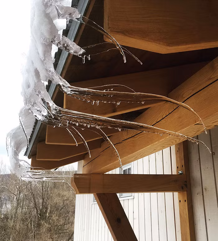 Không chịu rơi xuống mặt đất, những giọt nước này nương theo làn gió và đóng băng một cách đầy mềm mại.