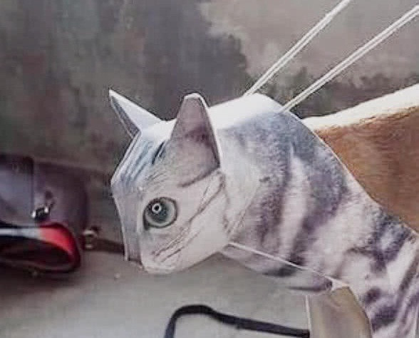 Di du lich, nho ban trai cham cho va ket cuc bat ngo-Hinh-2