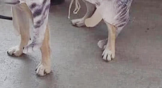 Di du lich, nho ban trai cham cho va ket cuc bat ngo-Hinh-3