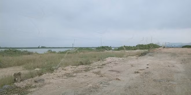 Bat chap lenh cam, giang ca ngan met luoi de bay chim o Ha Long-Hinh-2