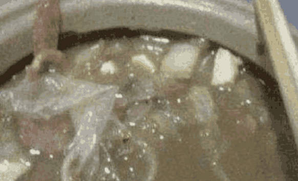 Chuyen la hom nay: Noi lau chua... bao cao su va su that gay soc-Hinh-2