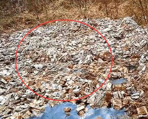 Chuyen la hom nay: Cau ca, chang trai giat ban voi thu khong ngo