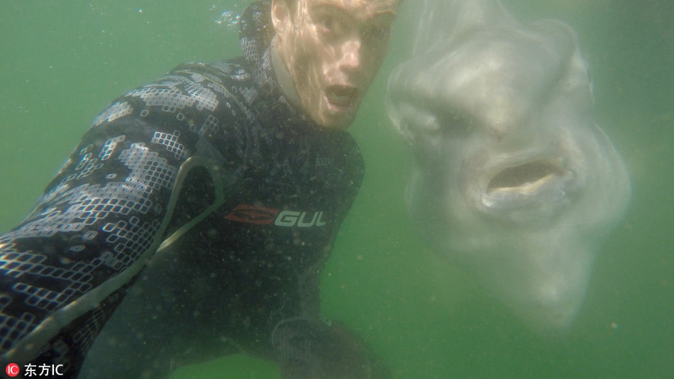 Ca thai duong lam mat cuc ngau “tu suong” cung nguoi