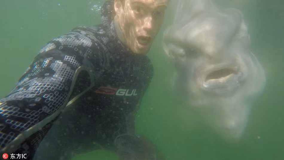 Ca thai duong lam mat cuc ngau “tu suong” cung nguoi