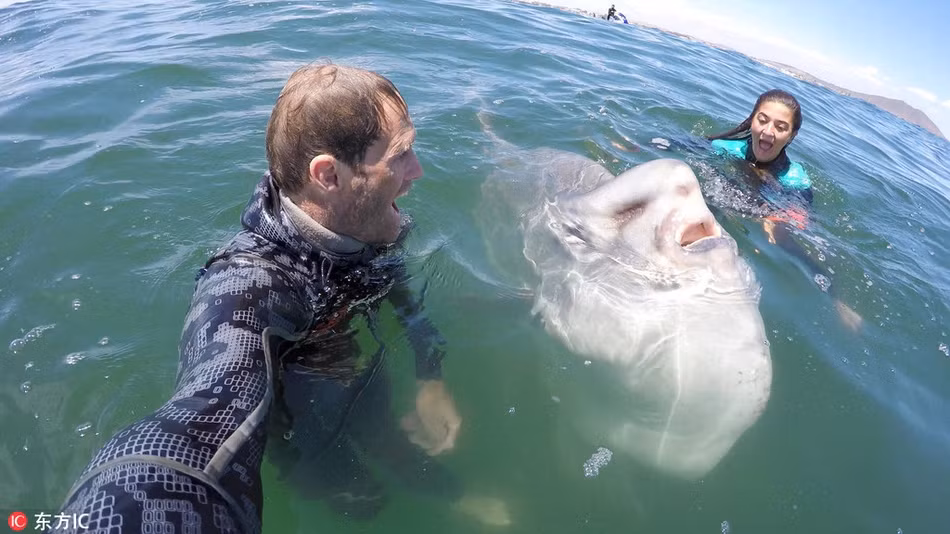Ca thai duong lam mat cuc ngau “tu suong” cung nguoi-Hinh-2