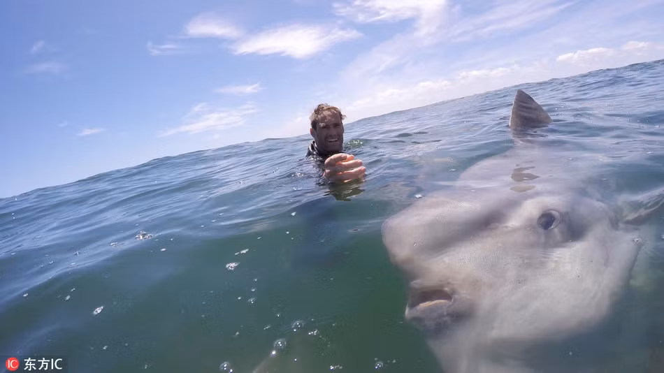 Ca thai duong lam mat cuc ngau “tu suong” cung nguoi-Hinh-4