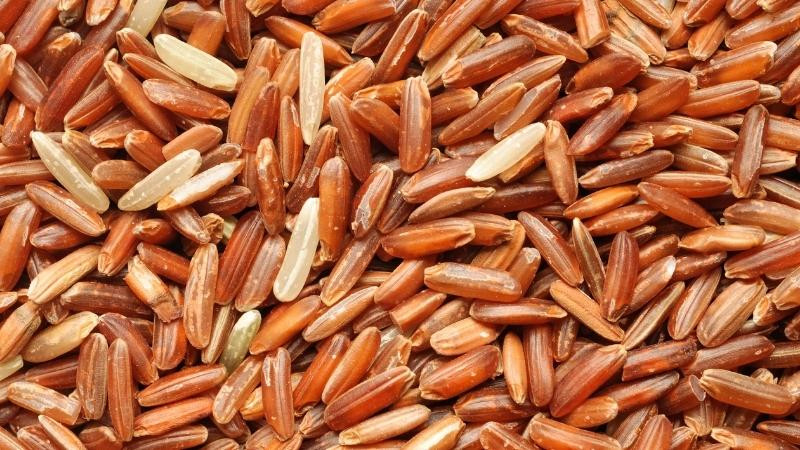 Gao lut - “sieu thuc pham” mang nhieu loi ich cho suc khoe-Hinh-2