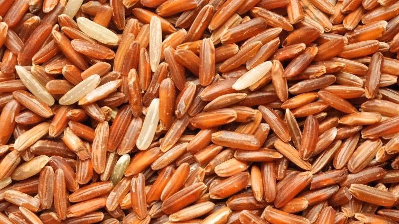 Gao lut - “sieu thuc pham” mang nhieu loi ich cho suc khoe-Hinh-2