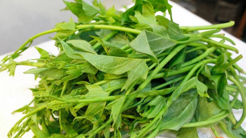 Loi ich tuyet voi cua rau khoai lang