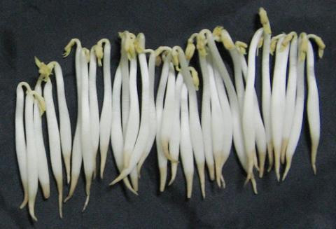 Chuyen gia canh bao dau hieu nhan biet gia do ngam hoa chat